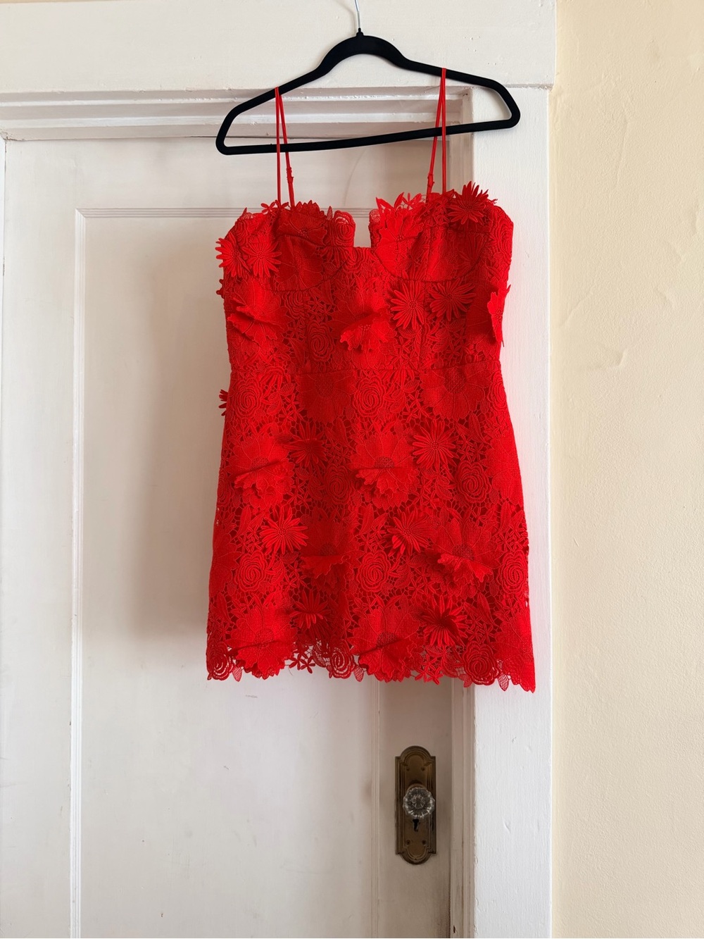 Bardot Brias 3D Floral Lace Mini Dress Fire Red XL US 10